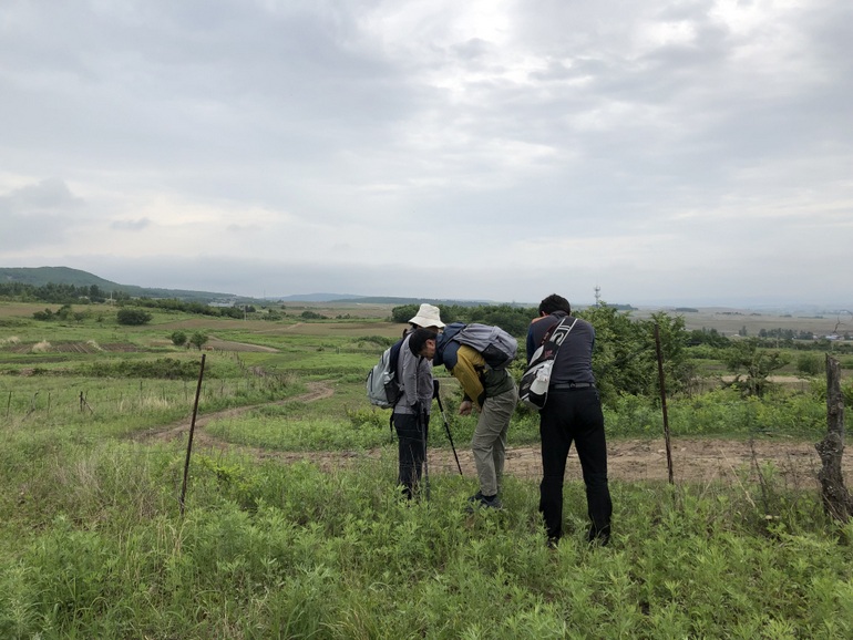 点击查看原图大小