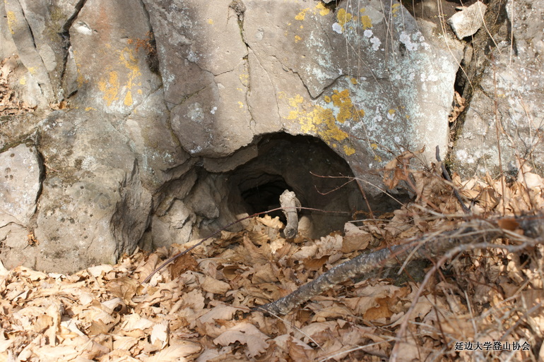 点击查看原图大小