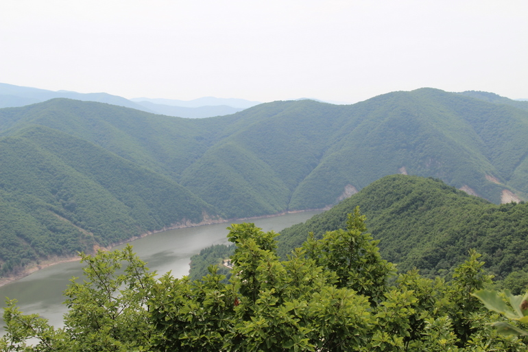 点击查看原图大小