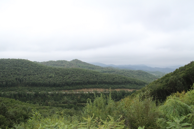 点击查看原图大小