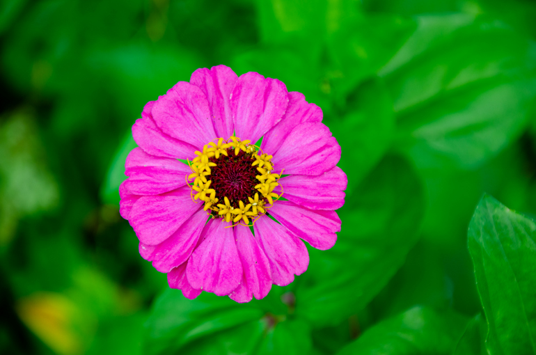 点击查看原图大小