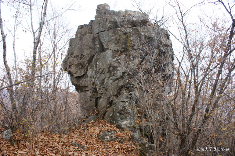 点击查看原图大小