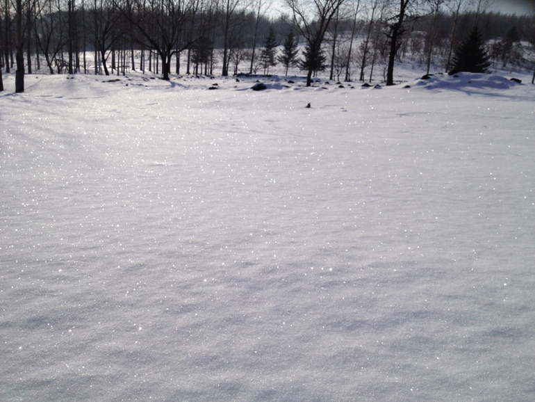 点击查看原图大小