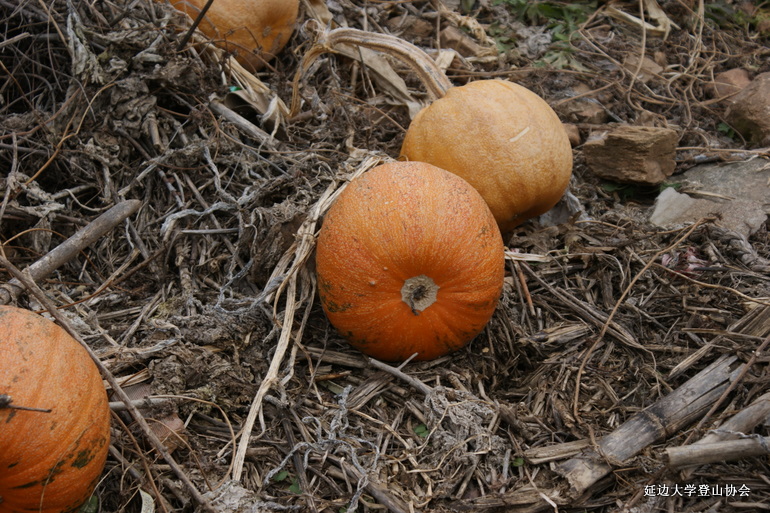 点击查看原图大小