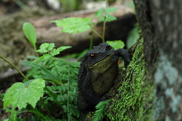 点击查看原图大小