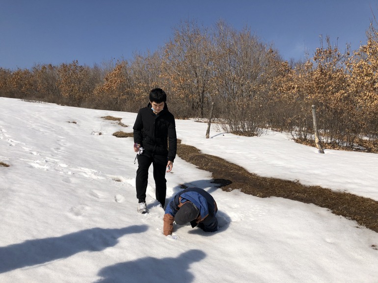 点击查看原图大小