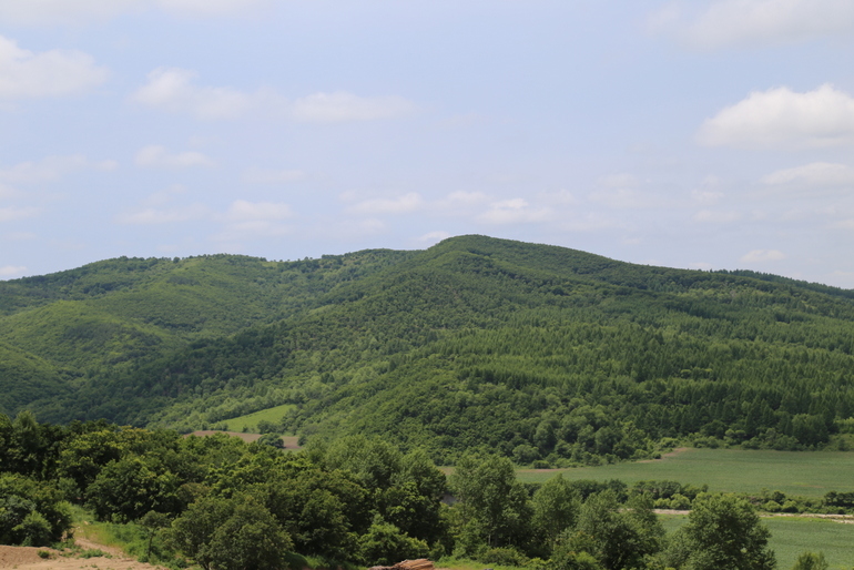 点击查看原图大小