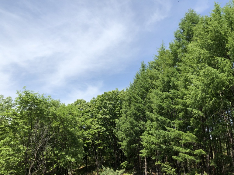 点击查看原图大小