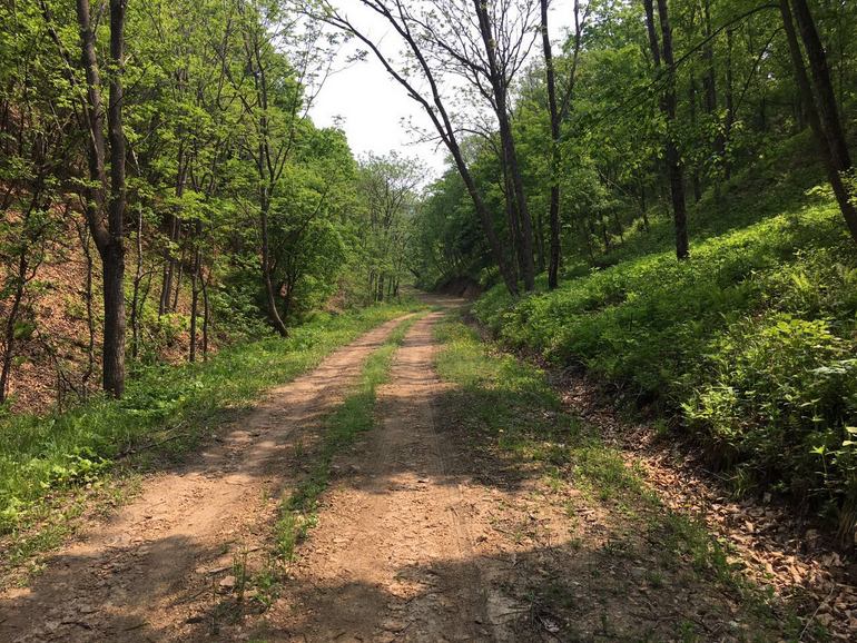 点击查看原图大小