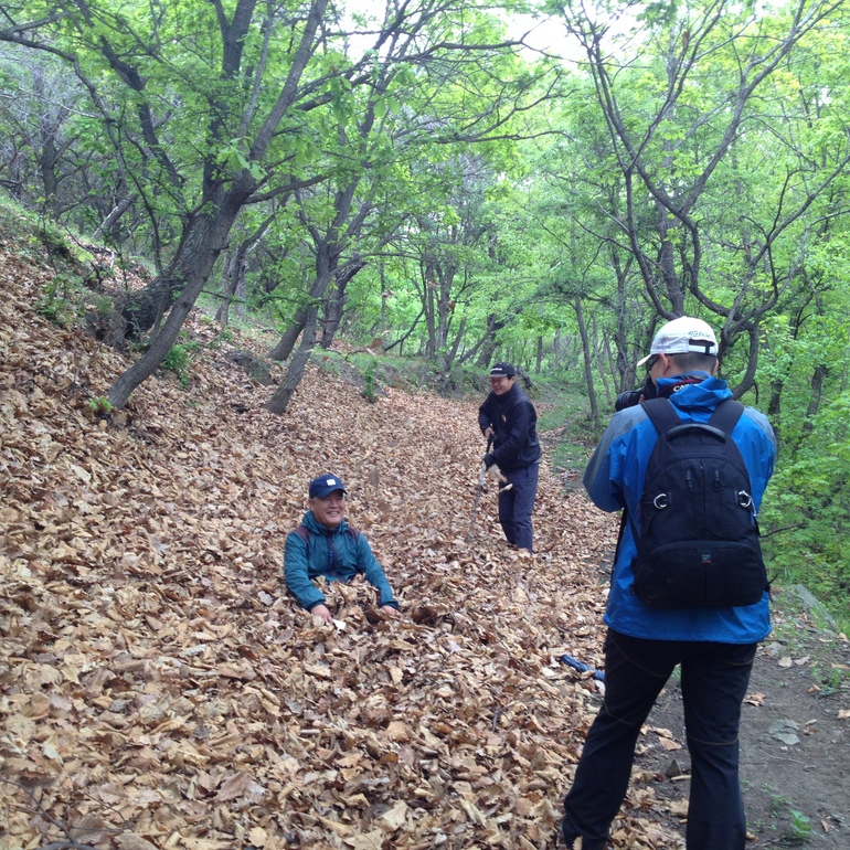 点击查看原图大小