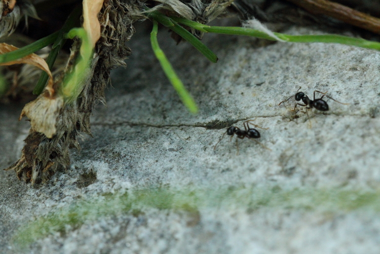 点击查看原图大小