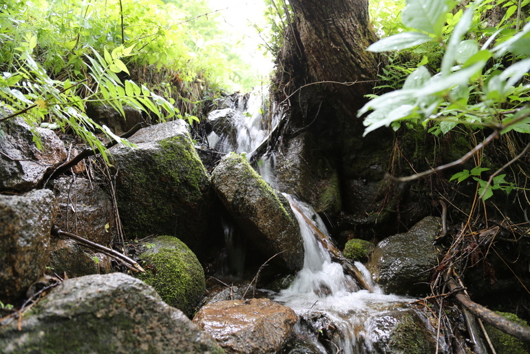 点击查看原图大小