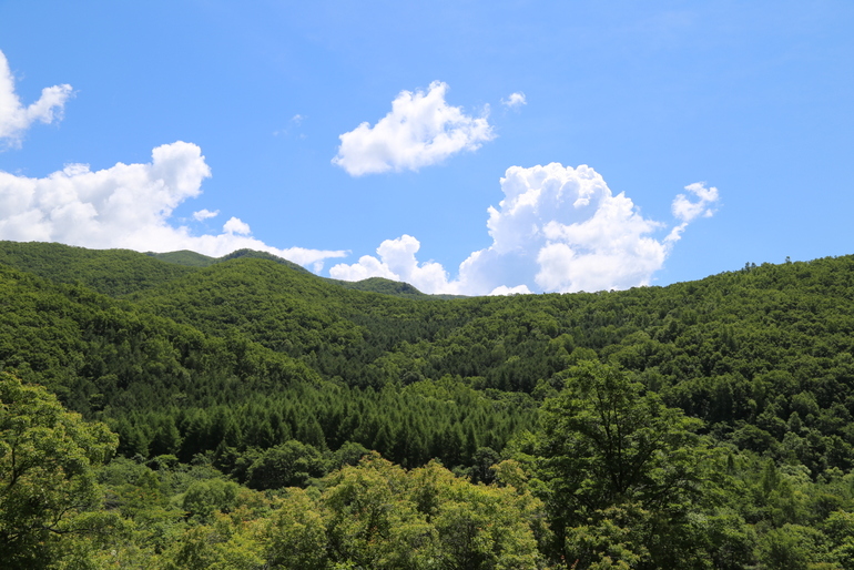 点击查看原图大小