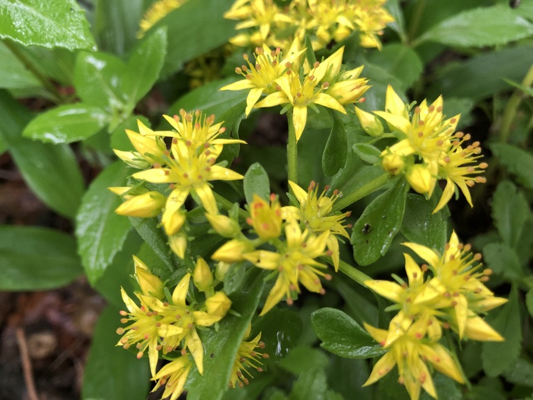 点击查看原图大小