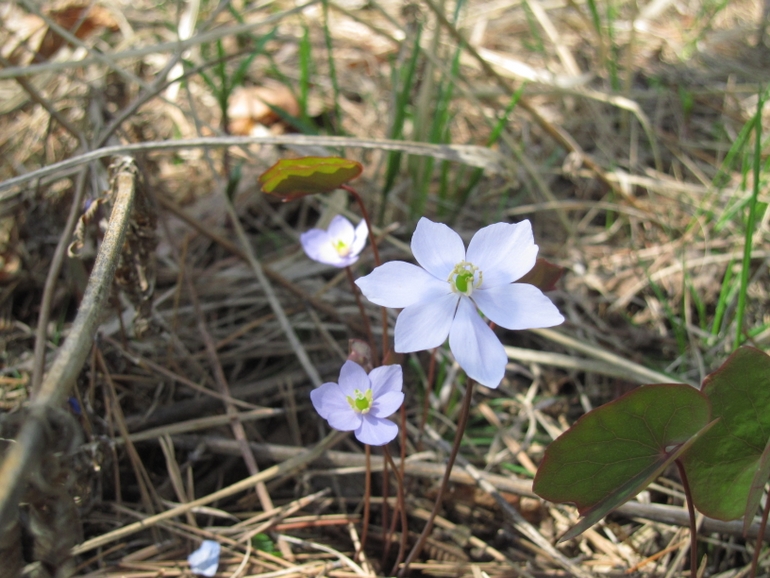 点击查看原图大小