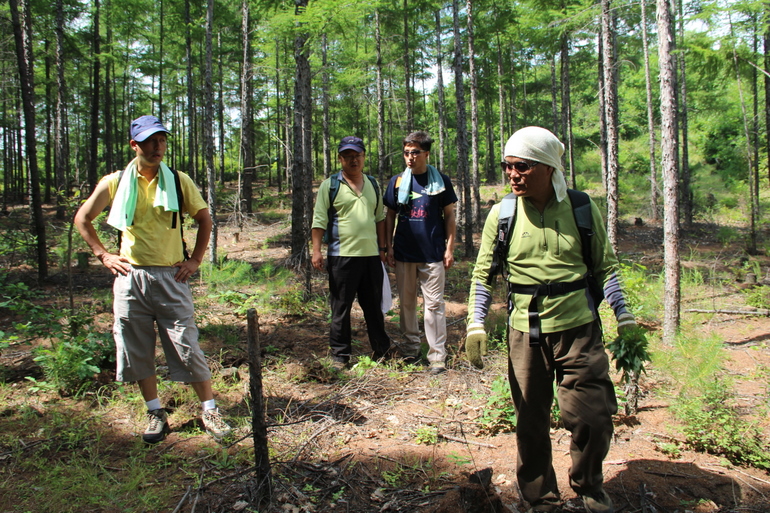 点击查看原图大小