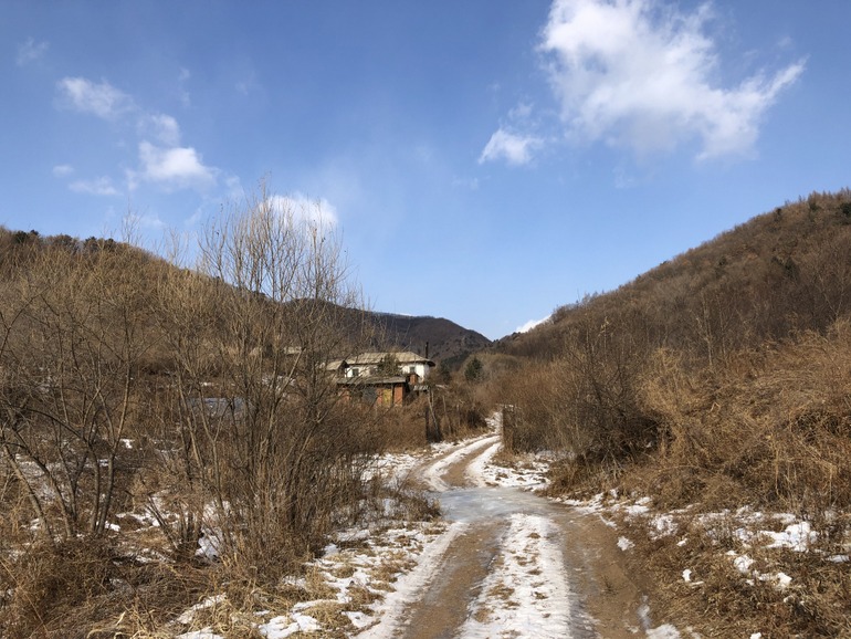 点击查看原图大小