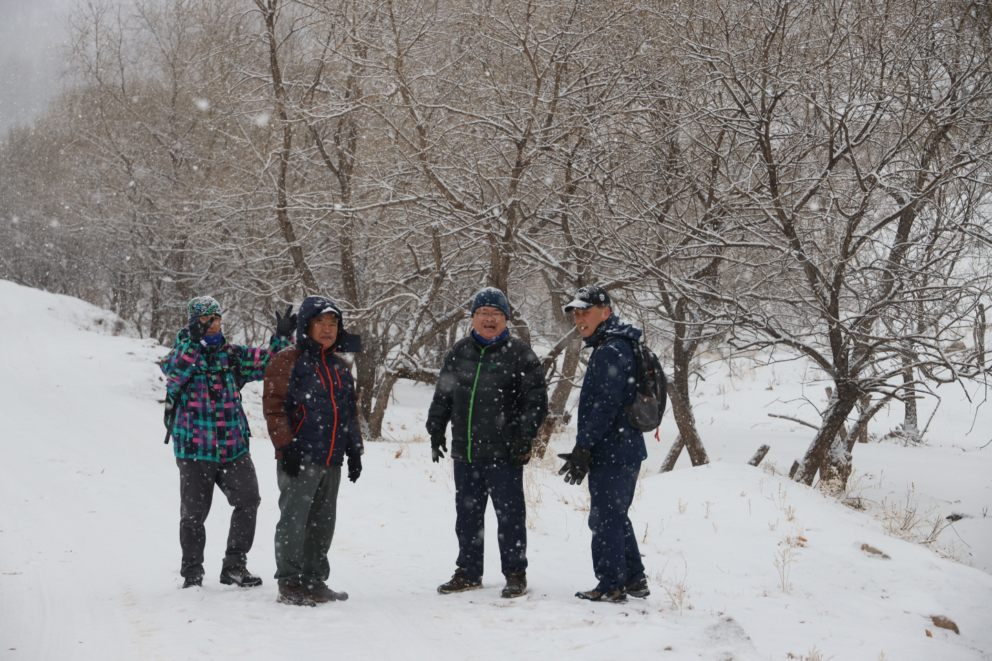 点击查看原图大小