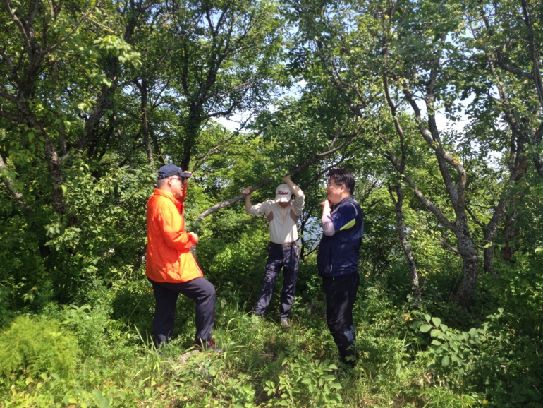 点击查看原图大小