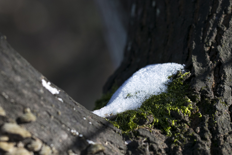 点击查看原图大小