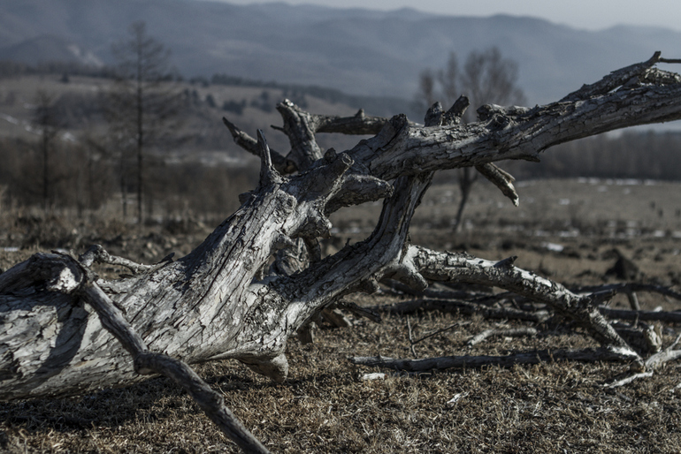 点击查看原图大小