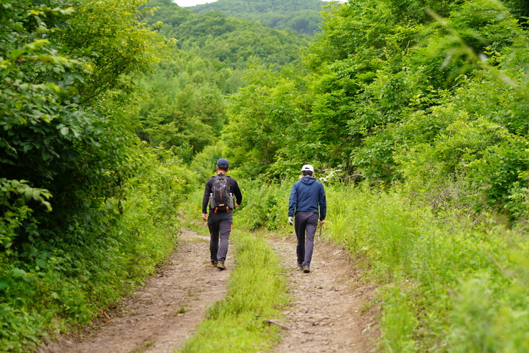 点击查看原图大小