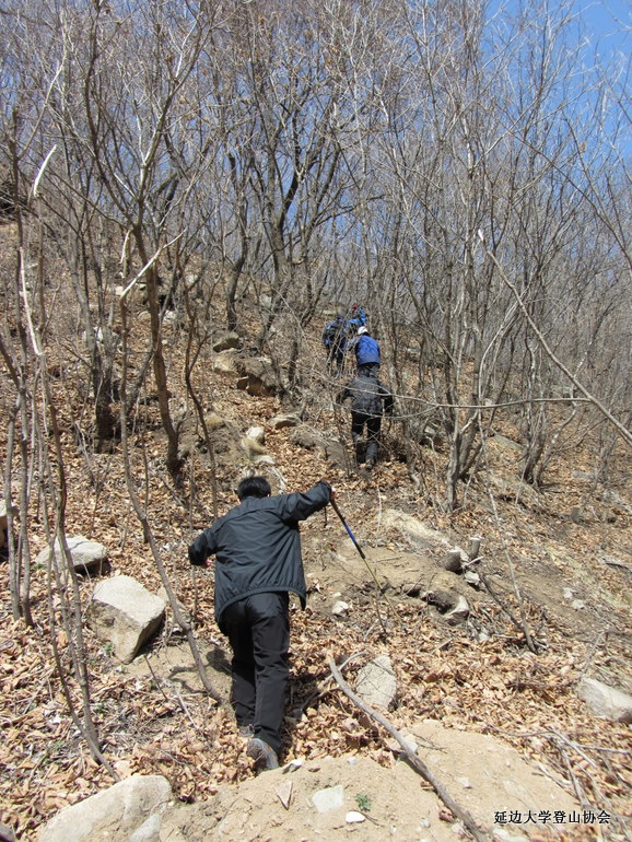 点击查看原图大小