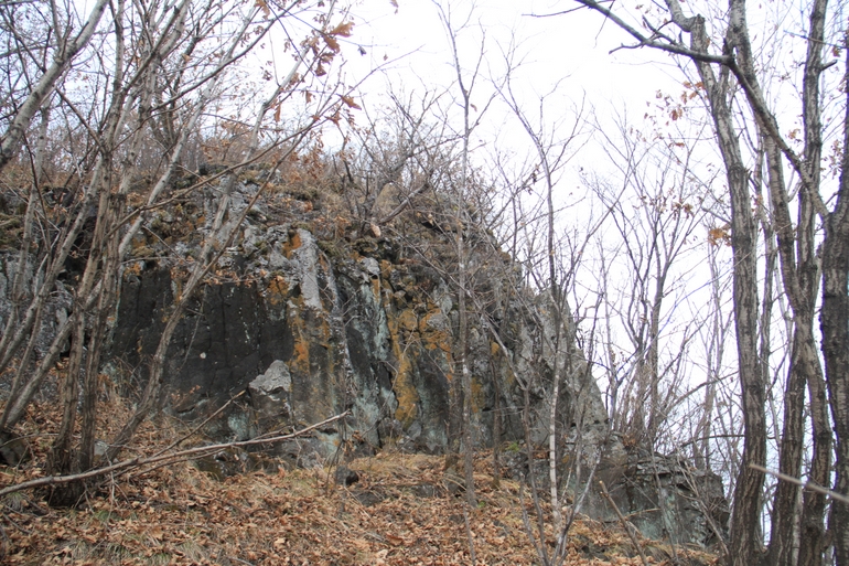 点击查看原图大小