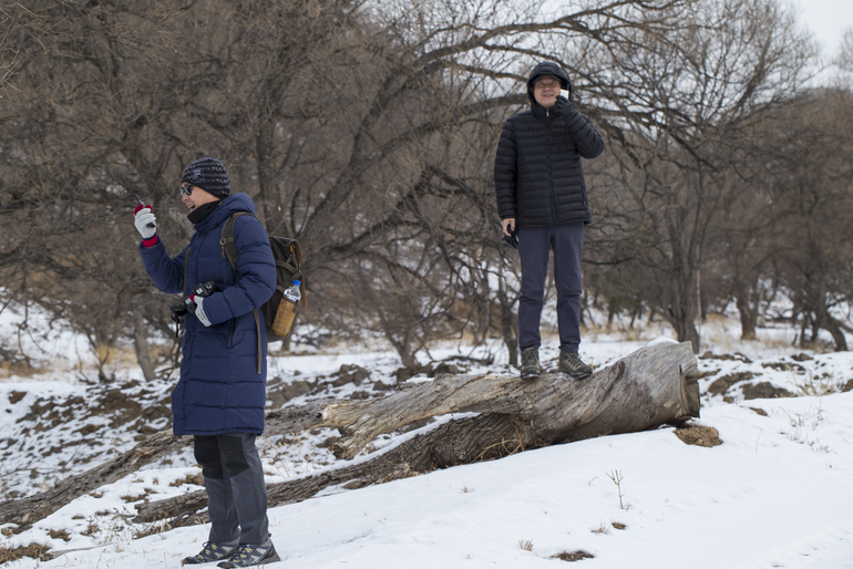 点击查看原图大小