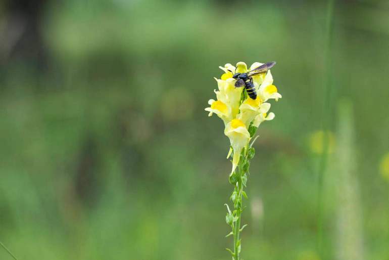 点击查看原图大小