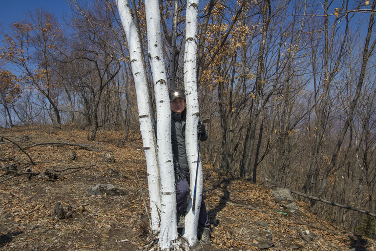 点击查看原图大小