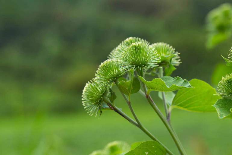 点击查看原图大小