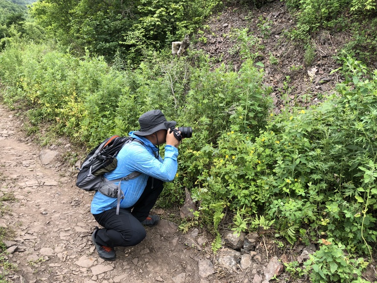 点击查看原图大小