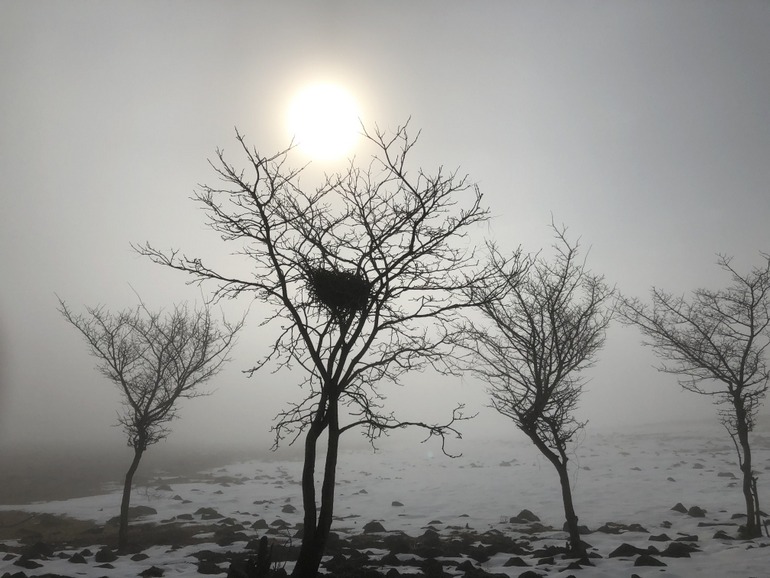 点击查看原图大小