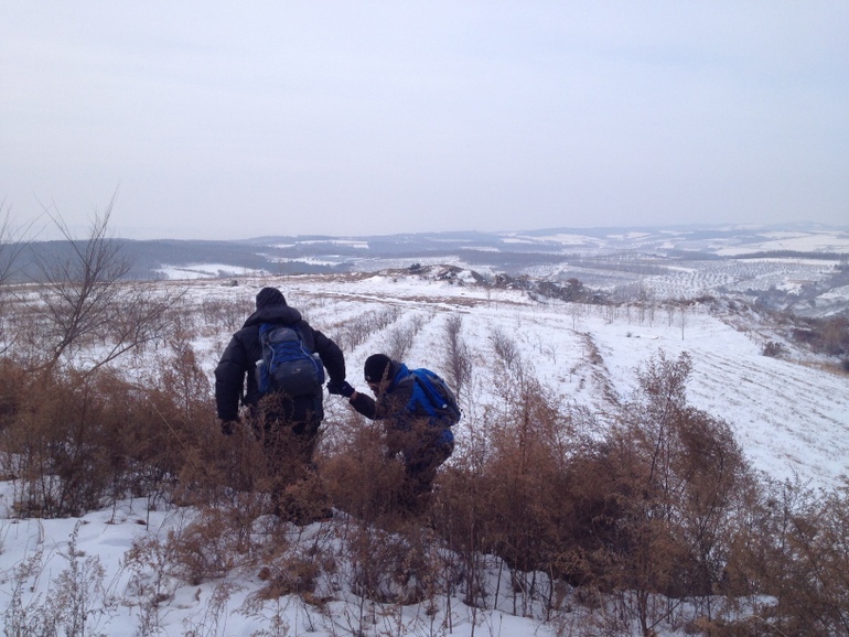 点击查看原图大小