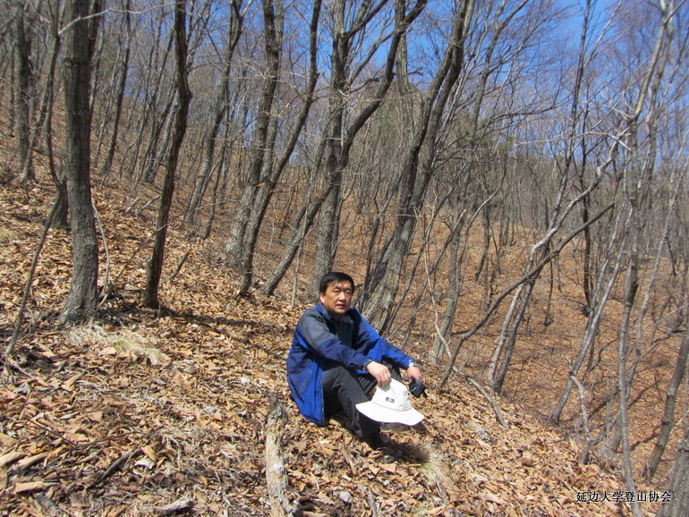 点击查看原图大小