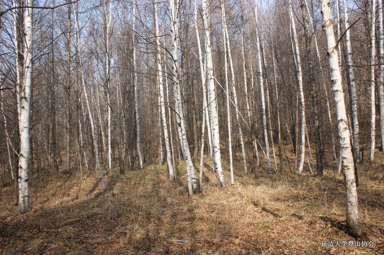 点击查看原图大小