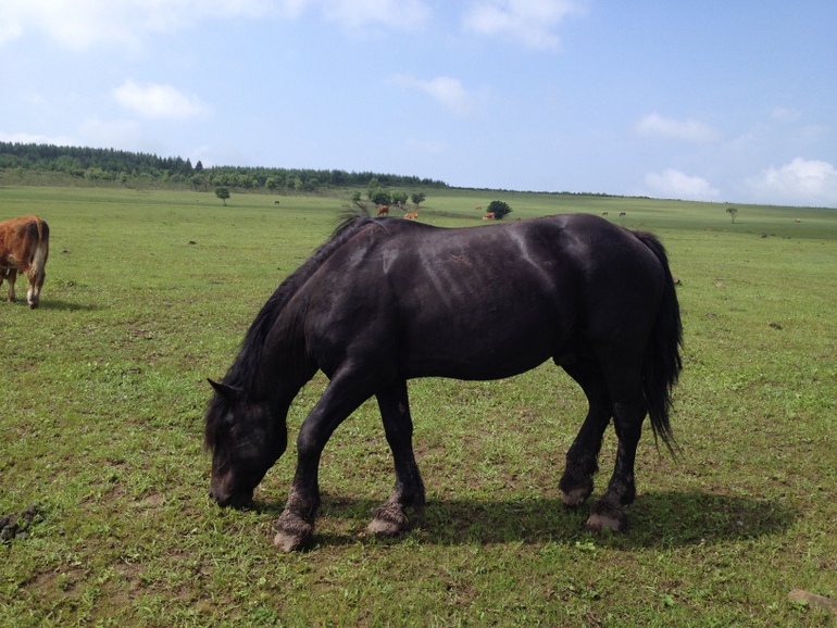 点击查看原图大小