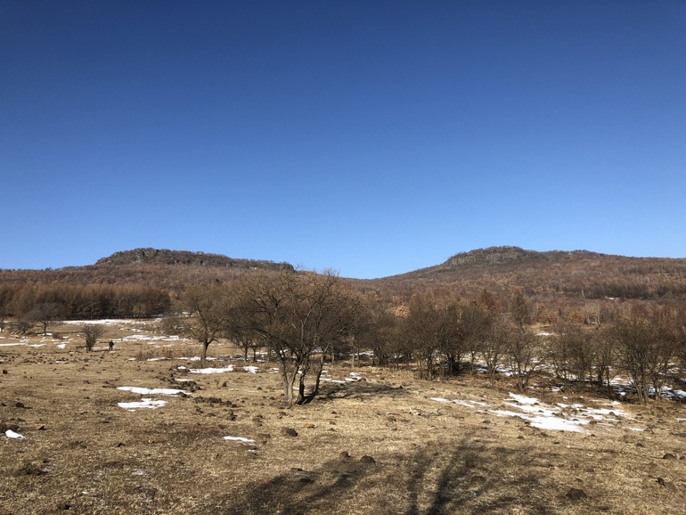 点击查看原图大小