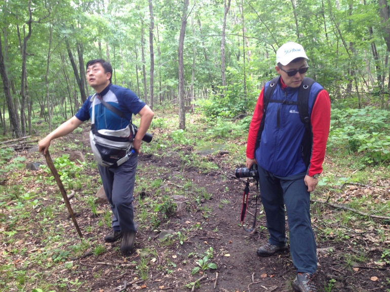 点击查看原图大小