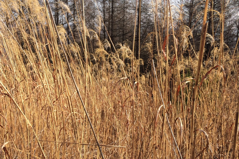 点击查看原图大小