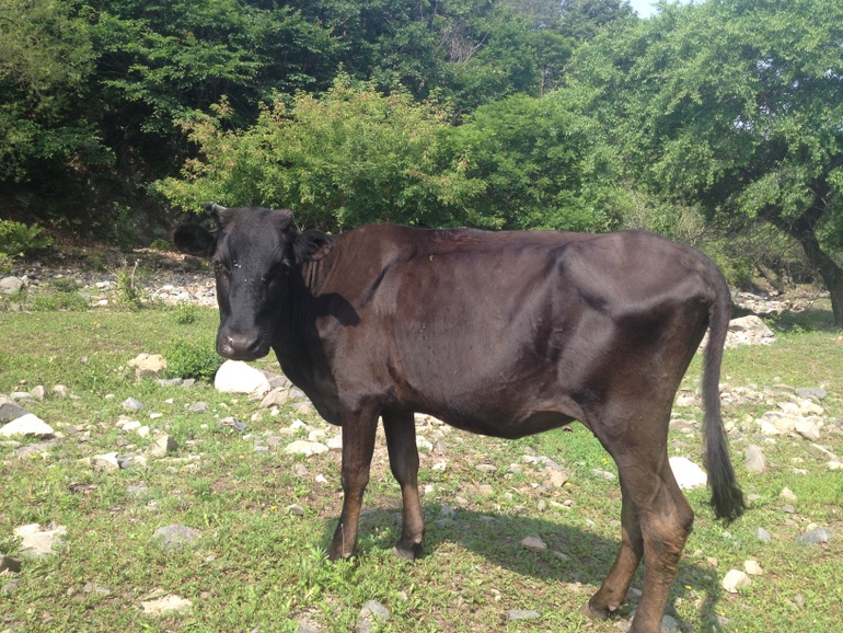 点击查看原图大小