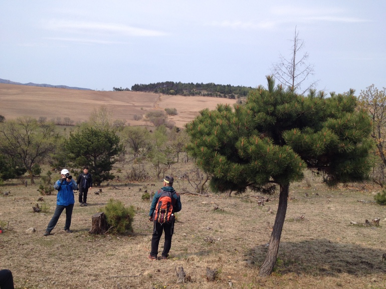 点击查看原图大小