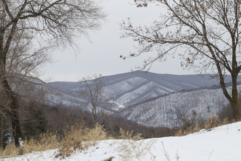点击查看原图大小