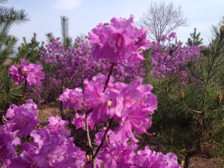 点击查看原图大小