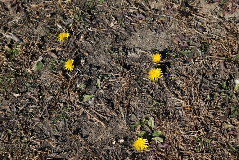 点击查看原图大小