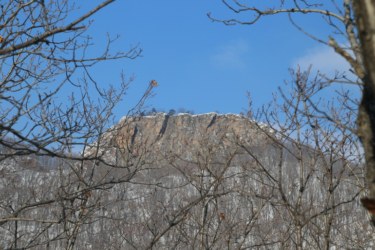 点击查看原图大小