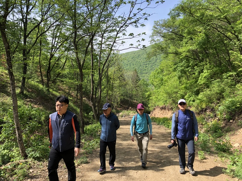 点击查看原图大小