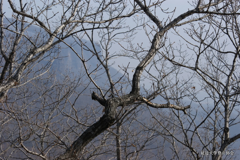 点击查看原图大小