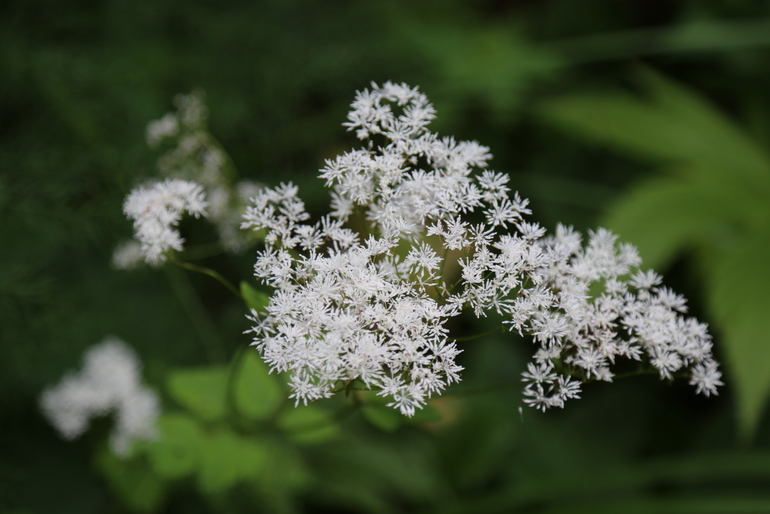 点击查看原图大小